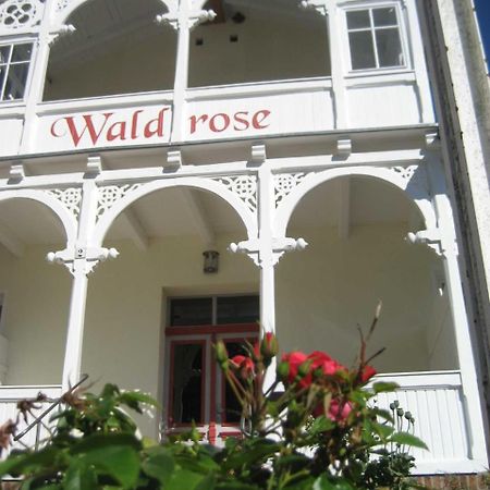 Pension Waldrose Sellin  Exterior photo
